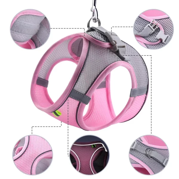 Close-up of the quick-release buckle and adjustable strap on a cat harness