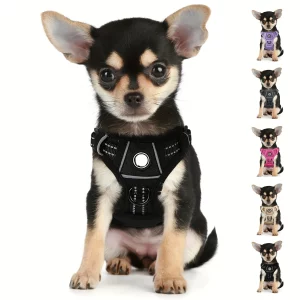 Soft Mesh Small Dog Harness Pet Puppy Cat Comfort Padded Vest No Pull Harnesses, Black, black, UNITED KINGDOM