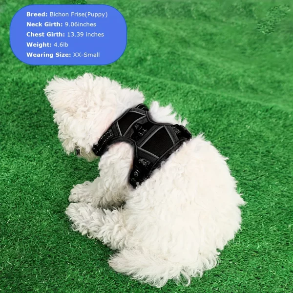 Adjustable strap detail on the black mesh dog harness