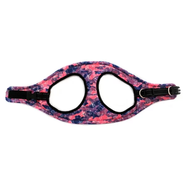 Dog harness with leash attached, ready for a walk in a park setting