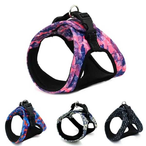 Front view of a small dog wearing a blue patterned dog harness