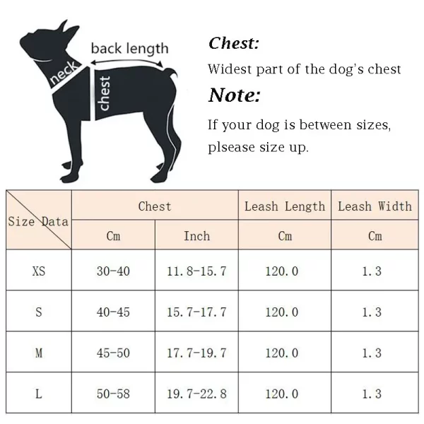 Side view of a dog wearing a blue patterned dog harness with leash attached