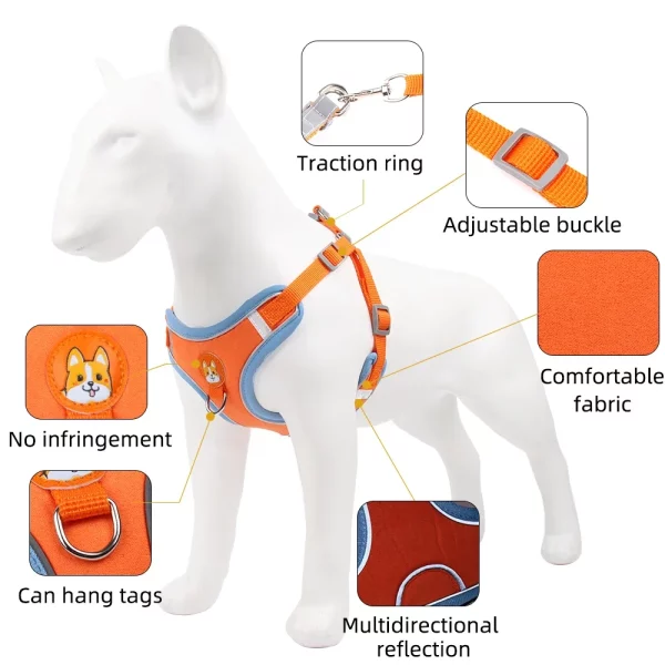 Close-up of the buckle and D-ring on the pet harness, highlighting secure attachment points.