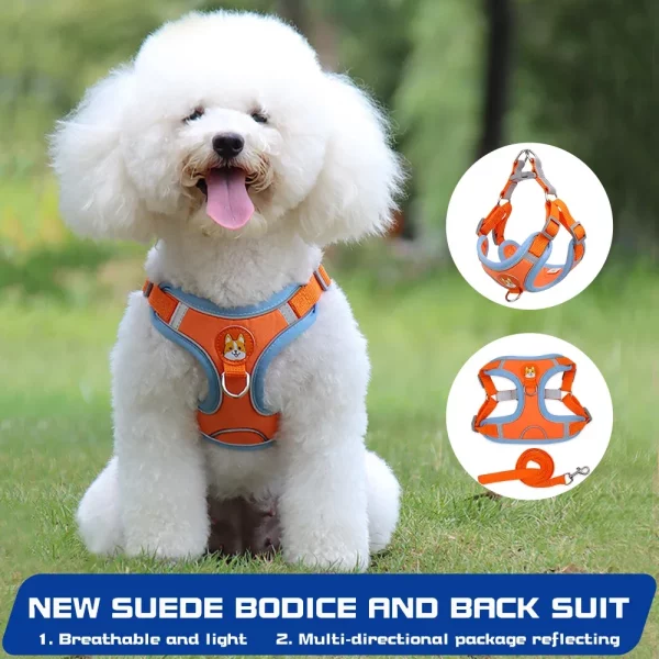 Purple pet harness and leash set with leash attached, showing the full walking ensemble.
