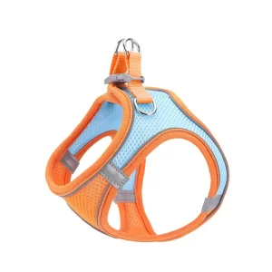 Front view of a dog wearing a breathable vest-style harness