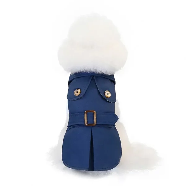 Dog wearing the jacket, highlighting the hood and secure button closure
