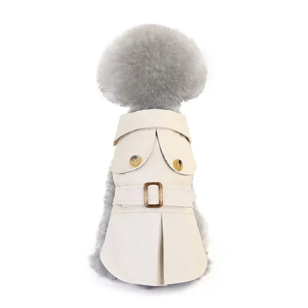 Dog wearing a green winter jacket, showing the back view and fit