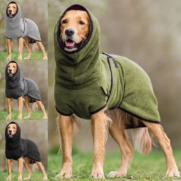 Dog wearing a warm fleece jacket outdoors on a cool day