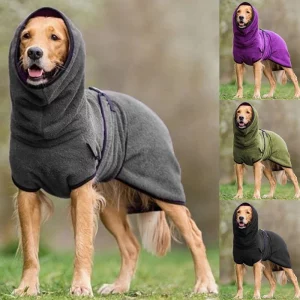 Dog wearing a grey fleece hoodie jacket, front view