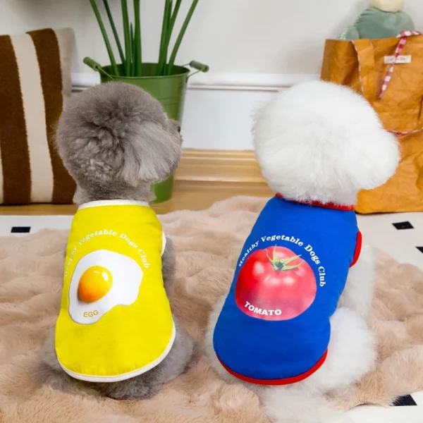 Close-up of the breathable fabric of a dog vest