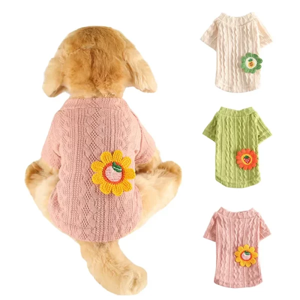 Puppy modelling the floral dog sweater in a cosy setting.