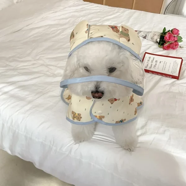 Back view of a dog rain coat showing harness opening