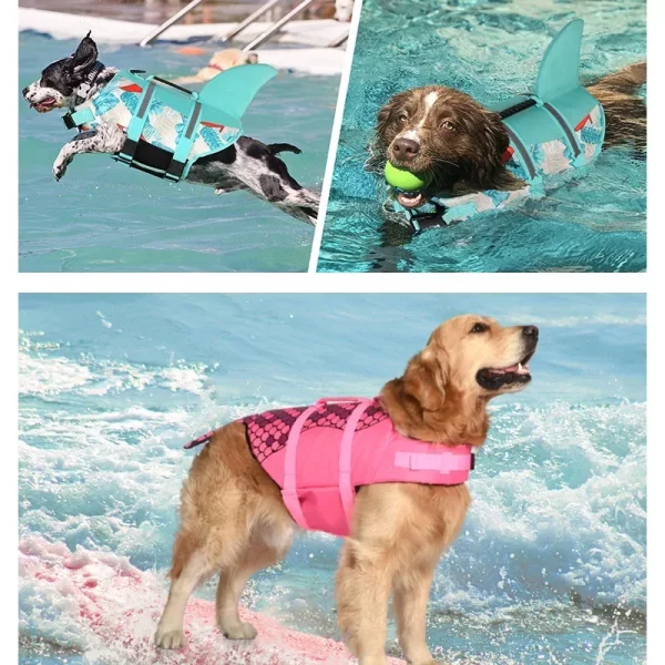 Dog wearing blue mermaid life jacket, front view