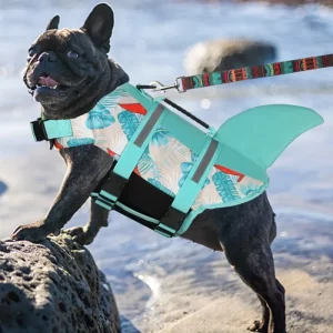 Dog Life Jackets