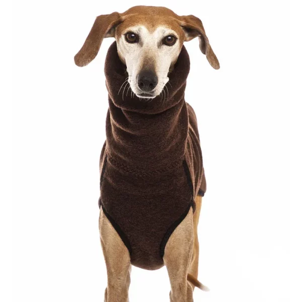 Dog wearing a warm winter coat in a snowy outdoor setting