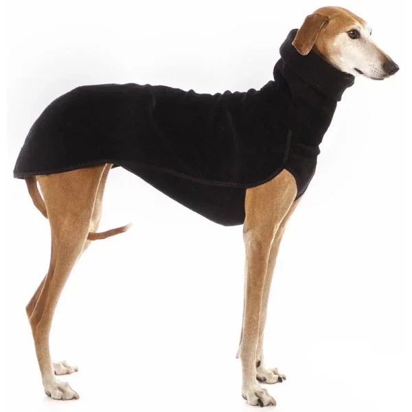Close-up of the high collar and secure fastening on a dog coat