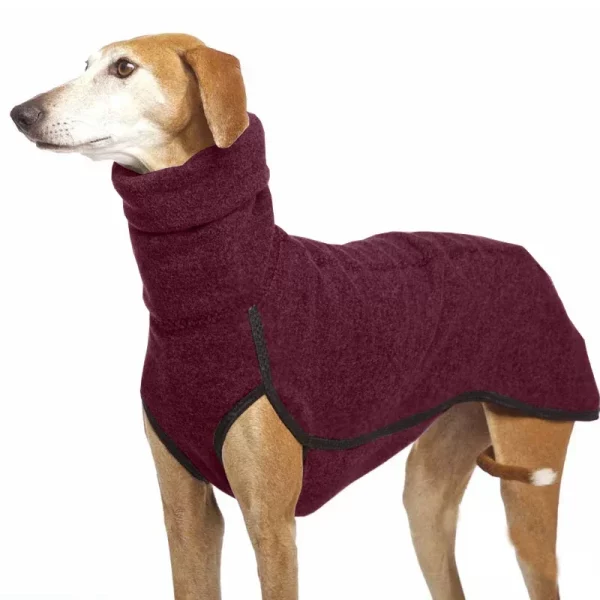 Great Dane in motion wearing a warm dog jacket, demonstrating flexibility