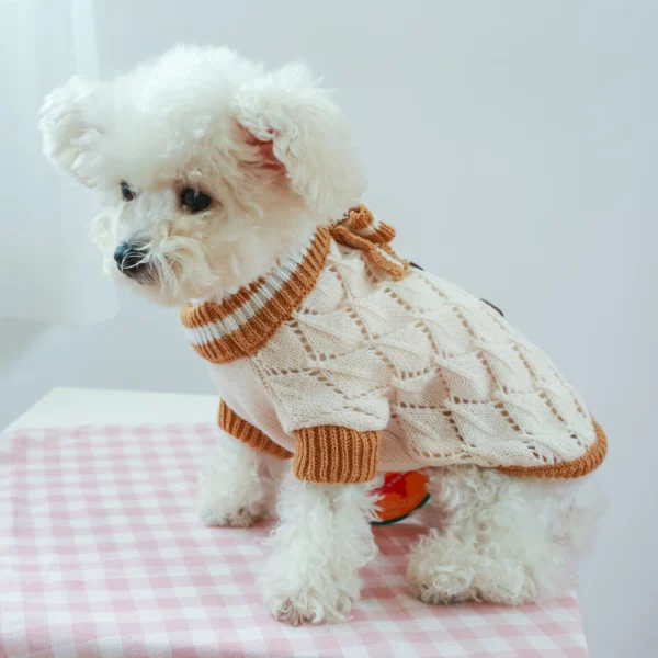 Side profile of a dog wearing the warm knitted sweater
