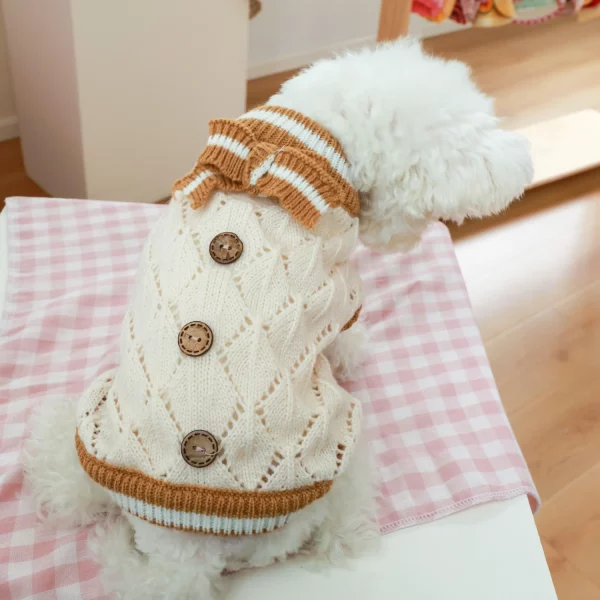 Pet wearing the knitted sweater, showing fit on a medium dog
