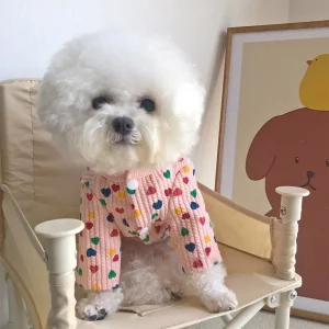 Dog wearing pink heart print dog clothes, front view