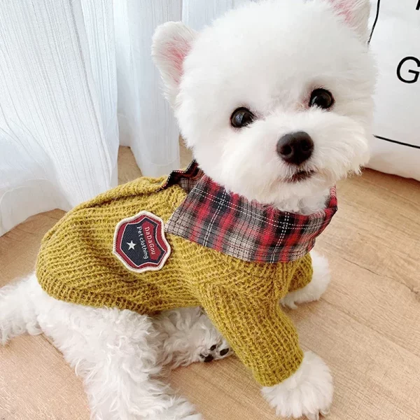 Dog wearing a red knitted sweater, side profile