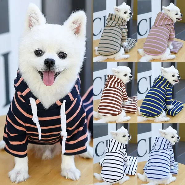 Small pet striped hoodie, wine red and white stripes, side view on a dog