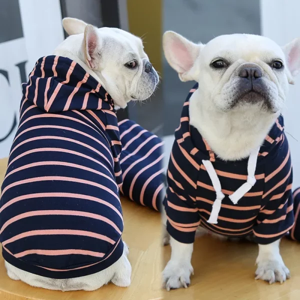 Flat lay of the small pet striped hoodie, showcasing the pattern and design
