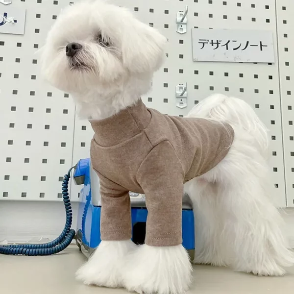 Small dog wearing a comfortable dog t-shirt in a casual indoor setting