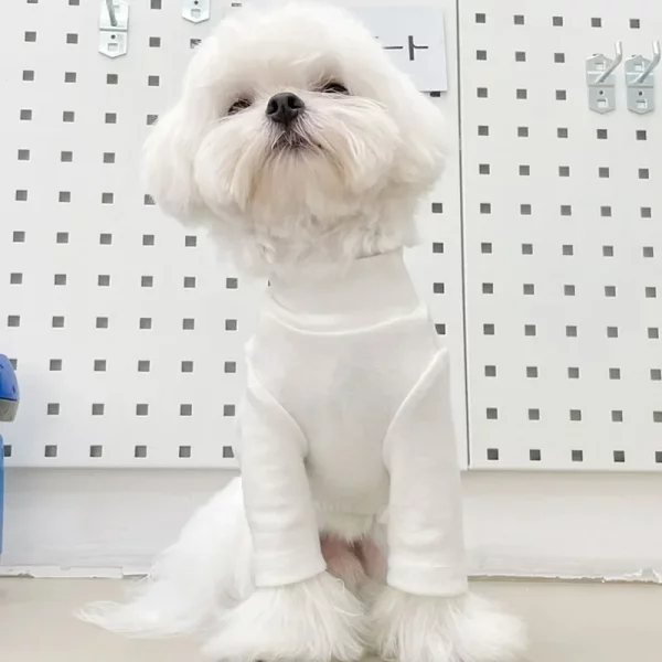 Close-up of the soft cotton fabric texture of the dog t-shirt