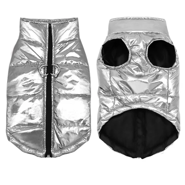 Dog wearing a waterproof dog coat, side view showing zipper and leash D-ring