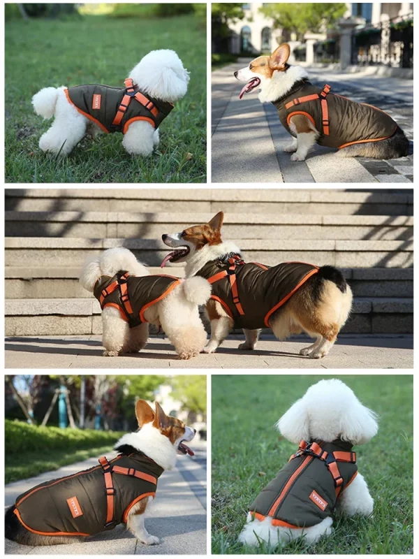 Yorkshire Terrier in a warm winter dog coat, side profile showing snug fit.