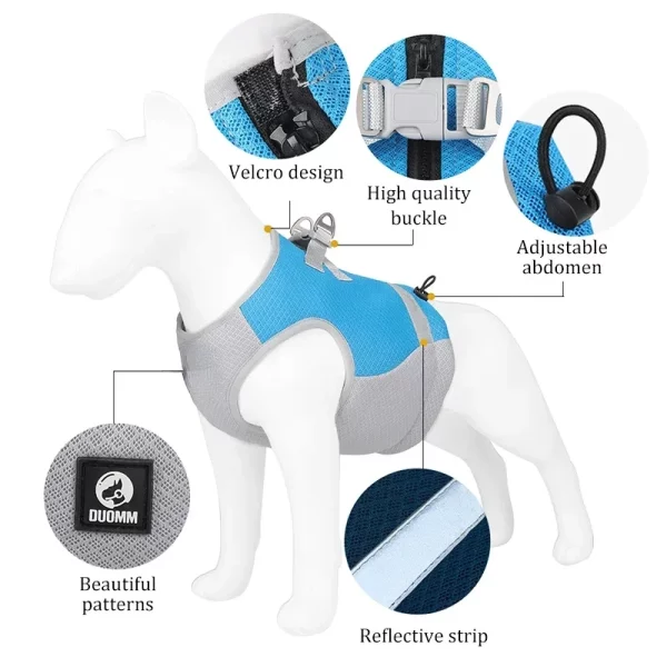 Dog wearing the vest, demonstrating adjustability