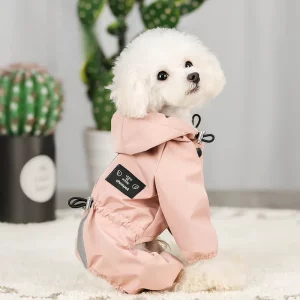 Dog wearing a blue four-legged raincoat, front view