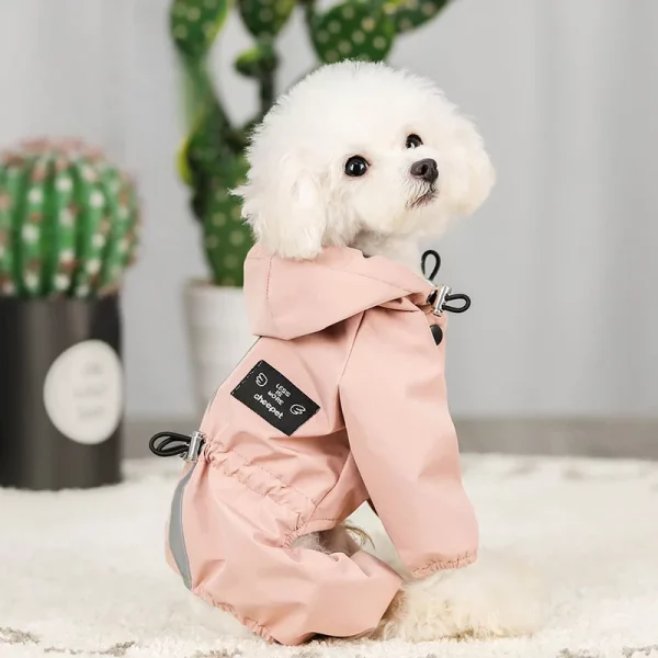 Dog wearing a blue four-legged raincoat, front view