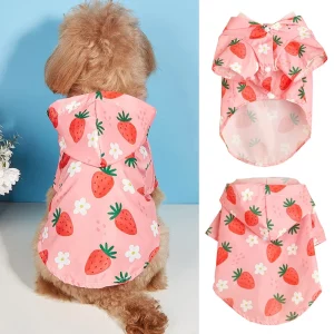 Small dog wearing a pink waterproof raincoat with a strawberry print, side view.