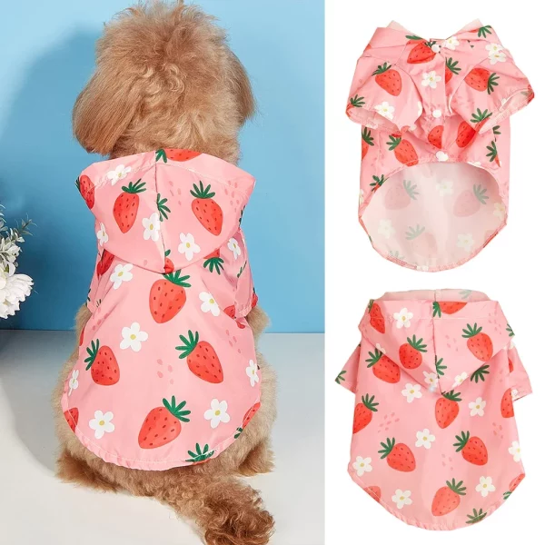 Small dog wearing a pink waterproof raincoat with a strawberry print, side view.