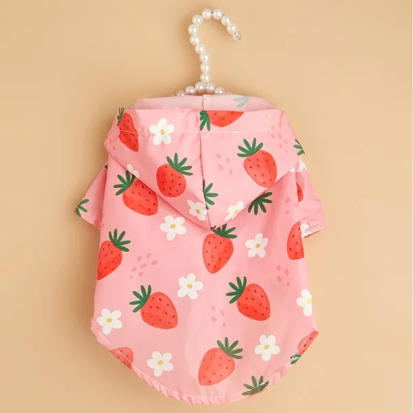 Side profile of a small dog comfortably wearing the pink strawberry print raincoat.