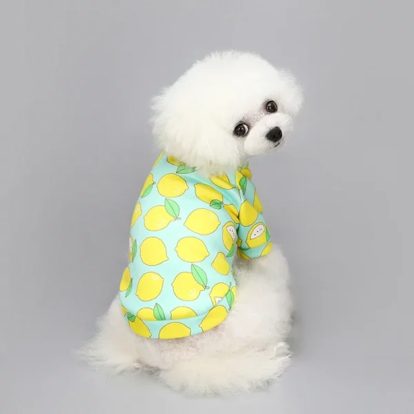 Close-up of the fabric and cute print on a small dog hoodie coat