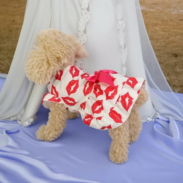Close-up of the fabric and print on a dog's summer dress