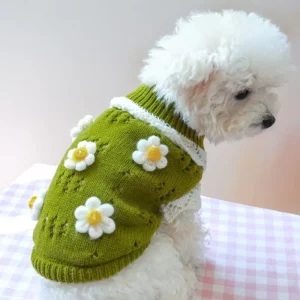 Dog Clothing