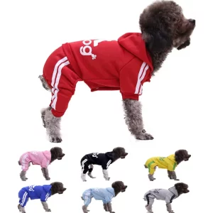 Dog wearing a blue four-legged sweater with button detail, front view.