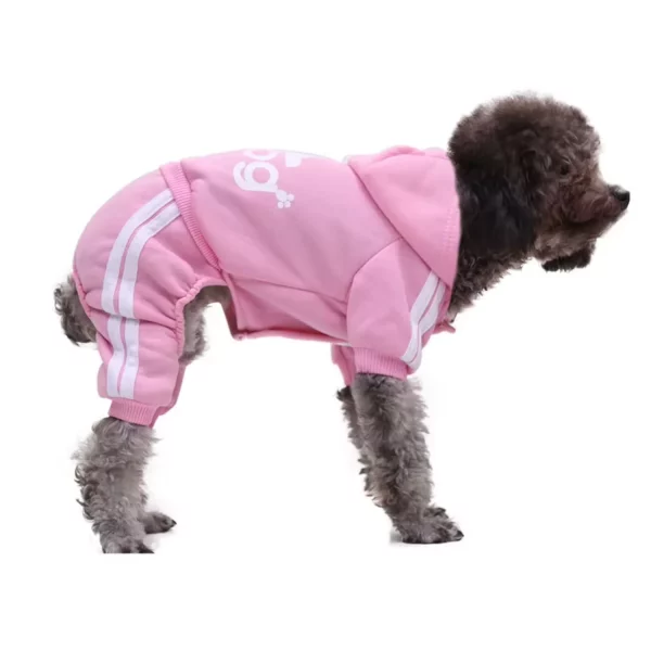 Close-up of the button closure on a dog sweater.