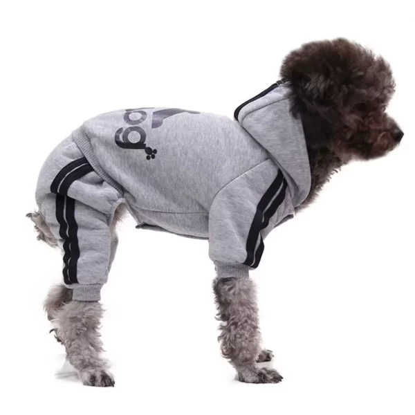Black dog sweater with a hood, worn by a small dog.