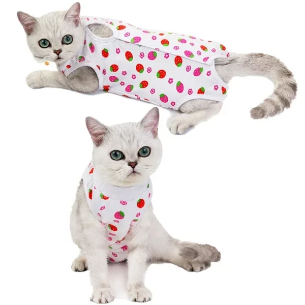 Cat wearing recovery suit, demonstrating freedom of movement