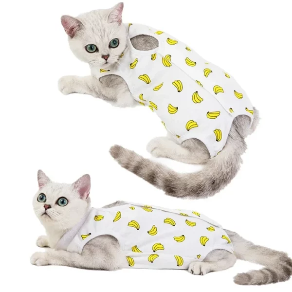 Cat wearing blue recovery suit, side view showing leg openings