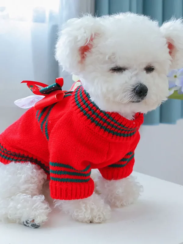 Dog wearing a knitted sweater, showing the fit around the neck and chest