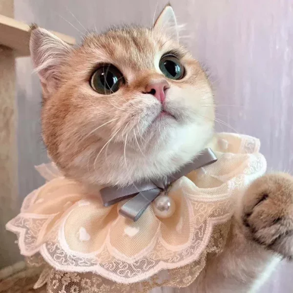 Ins Style Cat Dog Puppy Lolita Collar Neckerchief Pet Kitten Lace Adiustable Floral Cats Necklace Photograph Neck Strap
