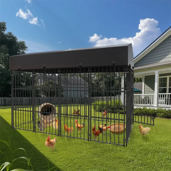 Animal cage with roof cover, showing spacious interior