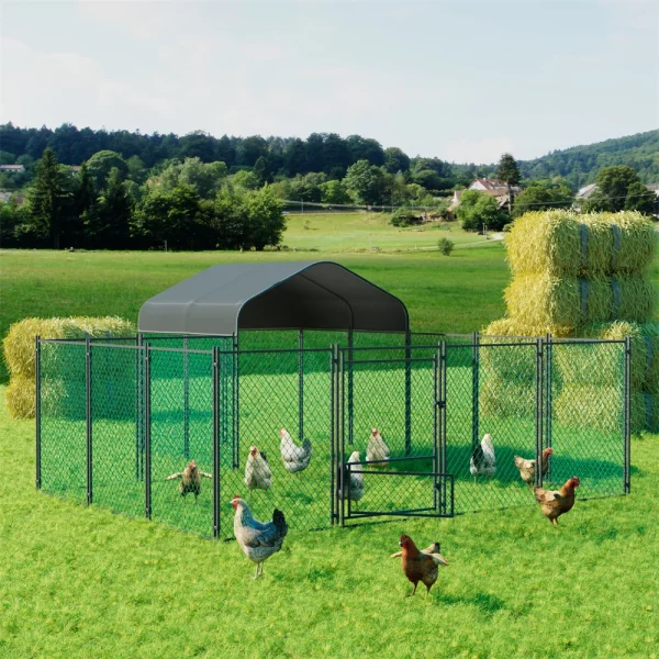Close-up of the walk-in entrance door on the chicken coop, highlighting its height.