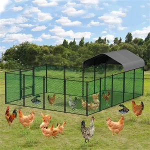 Poultry